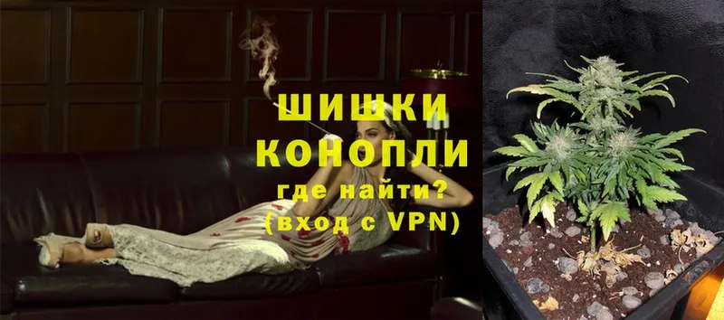 даркнет сайт  площадка какой сайт  Бошки марихуана OG Kush  Дмитриев 